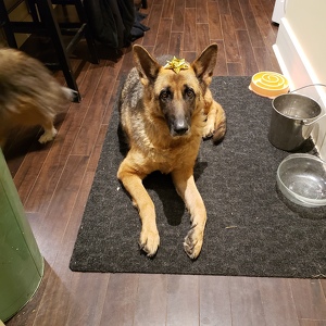 Fundraising Page: Whitney Beattie